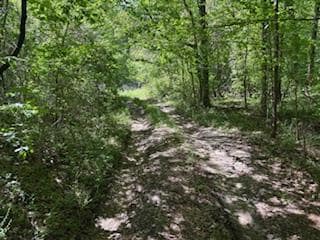 x S Highway 61, Port Gibson, MS 39150