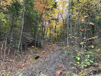 Lot #B-1 Mountain Rd, Plantation of Sandy River, ME 04970