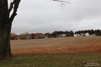 0 E Michigan Ave Unit 23356, Grass Lake, MI 49240