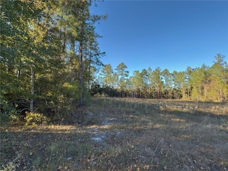 Lot 1 Wildwood Country Estates Thoroughbred Rd, Woodbine, GA 31569