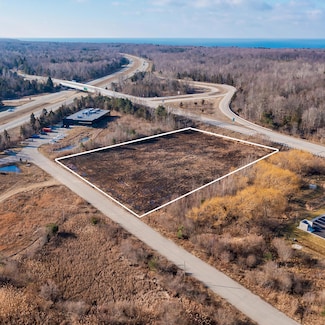 Lot 2 Blue Star Hwy, Saugatuck, MI 49453