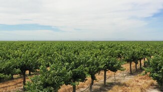 20650 Road 21, Madera, CA