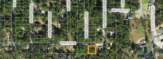xx Pam Dr, Crawfordville, FL 32327