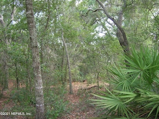 124 Tijuana Trail, Melrose, FL 32666