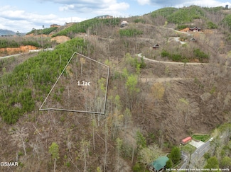 0 Long Branch Rd Unit 306114, Gatlinburg, TN 37738