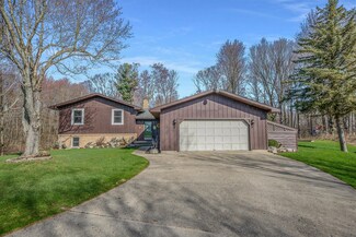 5035 S Bingham Ave, Newaygo, MI 49337