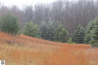 0 W 18 Mile Rd Unit 1809123, Mesick, MI 49668