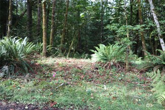 4861 Mccary Rd SW, Port Orchard, WA 98367
