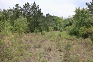 0 Randall H Whiddon Dr, Ashburn, GA 31794