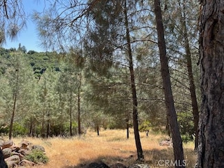 10353 Walnut Way, Kelseyville, CA 95451