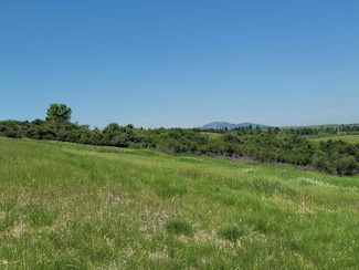 TBD Blue Star, Spearfish, SD 57783