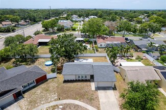 1818 Willow Oak Dr, Palm Harbor, FL 34683
