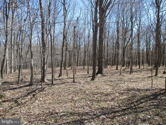 0 Mt Lakeside Sub Divide Meadows Unit WVGT2000242, Mount Storm, WV 26739