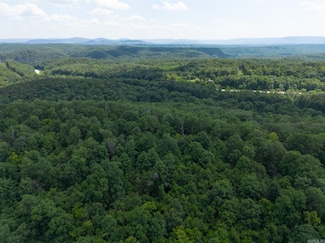 Hwy 333 Lime Dr, Saint Joe, AR 72675
