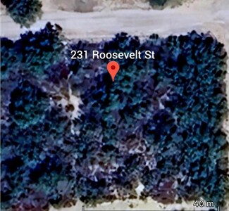 231 Roosevelt St, El Indio, TX 78860
