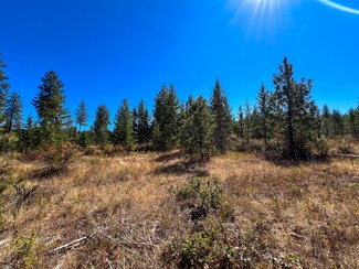 52XX LOT 3 S Swenson Rd, Deer Park, WA 99006