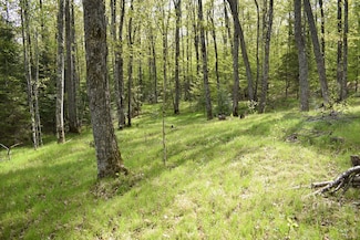1813 Wisconsin 101, Florence, WI 54121