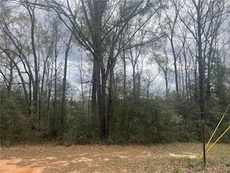 0 Wilson Dr Unit 7179706, Citronelle, AL 36522