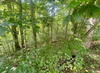 550 Left Fork MacEs Creek Rd, Viper, KY 41774