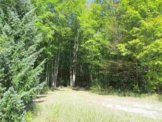0 W Van Rd Unit 463323, Pellston, MI 49769