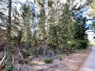 14350 SW 208 Ave, Miami, FL 33196