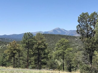 Lot 3 Spencer Rd, Alto, NM 88312