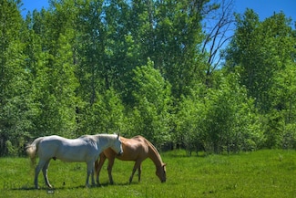13830 (Tract B) Cottonwood Rd, Bozeman, MT 59718