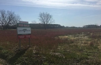 0 Pleasant Meadow Rd, Lumberton, NC 28358