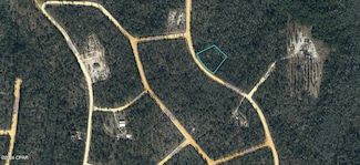 00 Koskiusko Dr, Alford, FL 32420