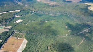 Tbd Mount Beulah Rd, Windsor, SC 29856