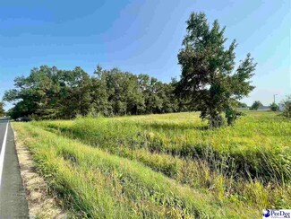 0 Henry St Unit 20213376, Latta, SC 29565