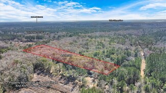4.9+/- AC E S Steve Nelson Rd, Townsend, GA 31331