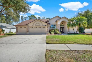 17112 Downs Dr, Odessa, FL 33556