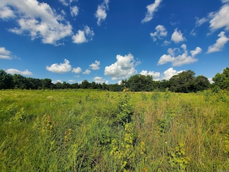 1306 Cr 461, Piggott, AR 72454