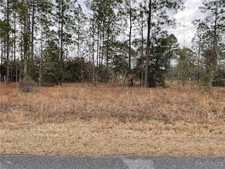 LOT 14 SE 136th Terrace, Dunnellon, FL 34431