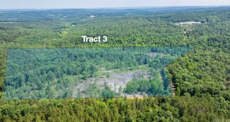 Tract 3 Harmony Mountain Rd, Clinton, AR 72031