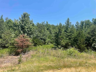 51 Billy Nance Hwy, Clifton, TN 38425