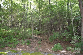 Lot 9 Galax Ln Unit 9, Brevard, NC 28712