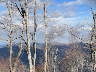 40 Ridge Top Circle Rd, Clyde, NC 28721