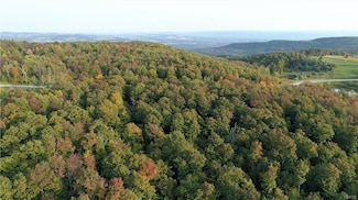 11 Twin Ponds Dr, Herkimer, NY 13350