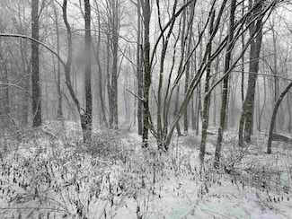 Lot 9 Bobolink Dr, Terra Alta, WV 26764