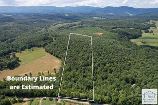 398 Wren Hollow Rd, Woolwine, VA 24185