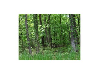 0 Dieterlen - Tract 1 & 2 Rd Unit 201700115, Henryville, IN 47126