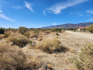 11675 Descanso Rd, Piñon Hills, CA 92372