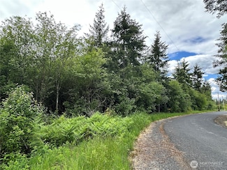 0 Bremgartner Rd Unit NWM2380237, Winlock, WA 98596