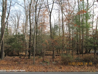 36 Scotrun Dr, Scotrun, PA 18355