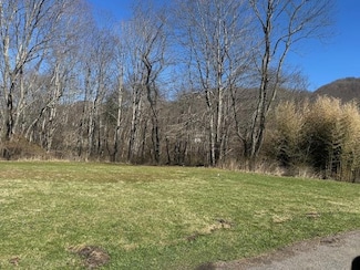 000 James St, Abbs Valley, VA 24605