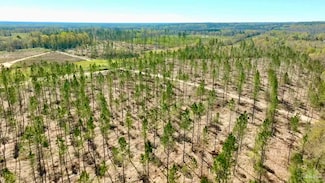 Lot 15-C Highway 29, Molino, FL 32577