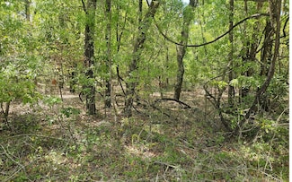 TBD NW 63rd Terrace, Bell, FL 32619