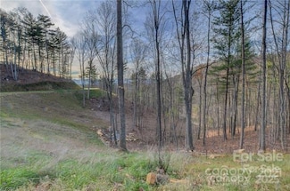 33 Bent Branch Ln, Asheville, NC 28804